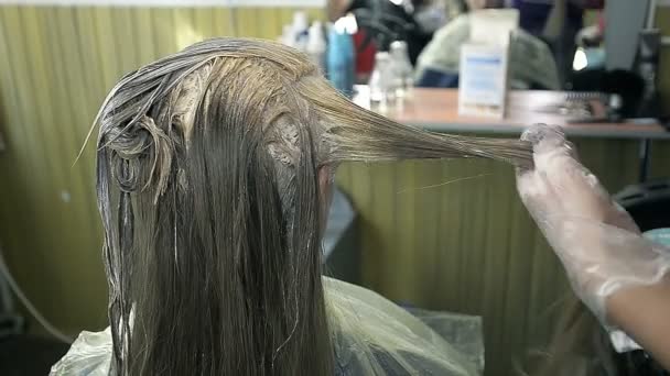 Menina penteando seu cabelo antes de pintar no salão de beleza — Vídeo de Stock