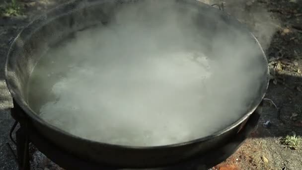Человек готовит рыбный суп в лесу — стоковое видео