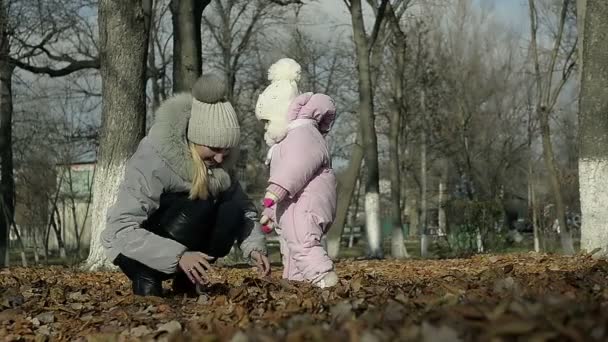 Dolly jovem mãe brincando com seu filho no parque — Vídeo de Stock