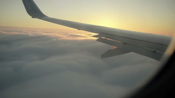 Samolot zmniejsza się i wchodzi w chmurach, o wschodzie słońca — Wideo stockowe