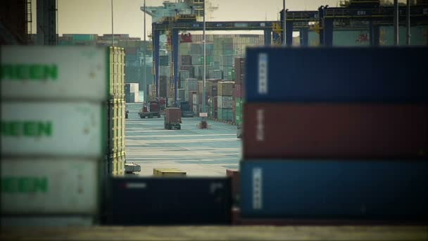 Caminhões com contentores na vista do porto de carga através de contentores — Vídeo de Stock