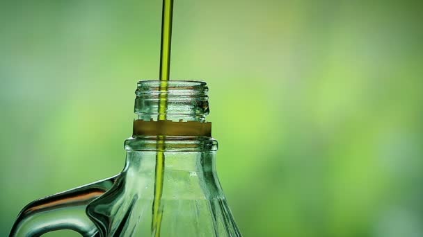 Close-Up Virgin Olive Oil Pours into the Big Bottle — Stock Video