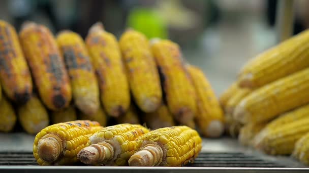 Fast Food Cooking Fresh Corn on the Heat — Stock Video