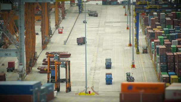 Industriële: Werk in een bovenaanzicht van de vrachthaven via Containers — Stockvideo