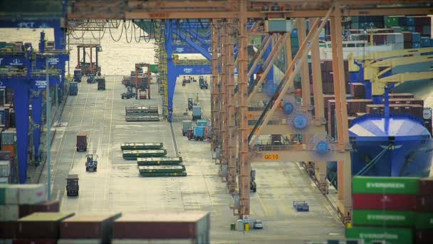 Redactioneel: Werk in een Large vrachthaven weergave van bovenaf — Stockvideo