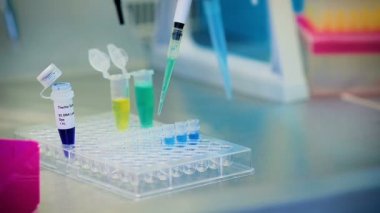Yakın çekim bilim adamı yapar Bio virüs laboratuvarda analiz eder