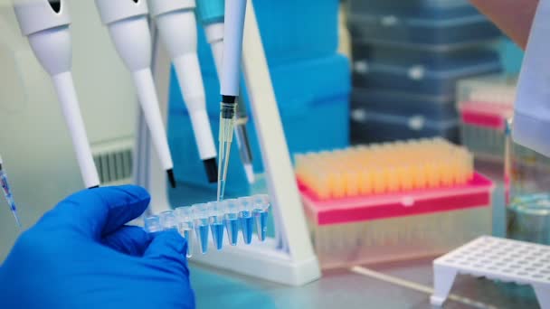 Крупним планом вчений робить вірус біологічних досліджень в лабораторії — стокове відео