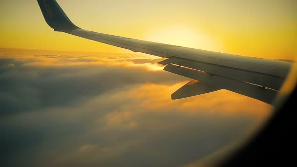 Samolot zmniejsza się i wchodzi w chmurach, o wschodzie słońca — Wideo stockowe