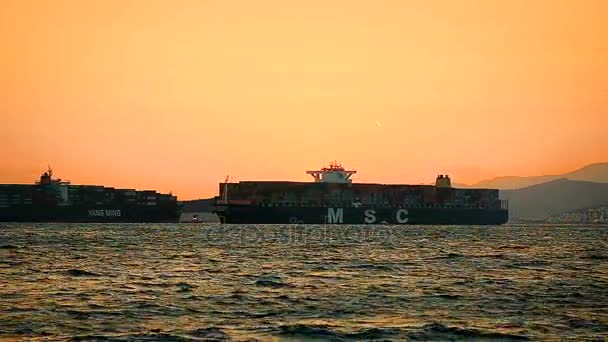Огромные грузовые корабли с полными контейнерами встретились в порту на закате — стоковое видео