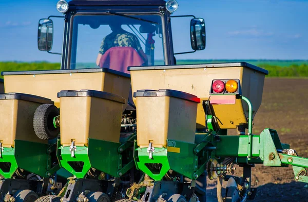 Close-up een zaaien gewassen op landbouwgebied — Stockfoto