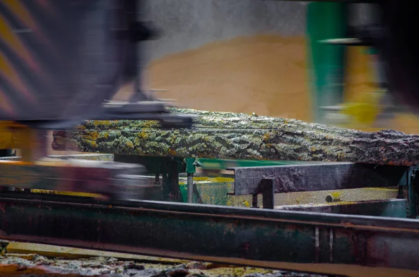 Yakın çekim ahşap kesme makine ağaç işleme dükkanında mobilya Fabrikası'nın Yönetim Kurulu