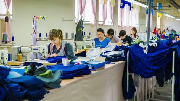 Grupp av fabriksarbetare sy jeans kläder i plagg fabrik. Timelapse. — Stockvideo