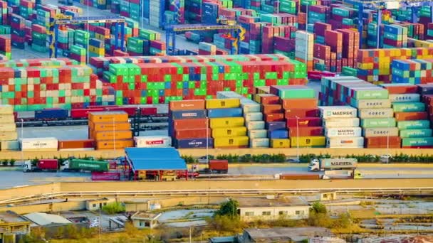 Tausende von großen Containern in einem großen Frachthafen Ansicht, Zeitraffer. — Stockvideo
