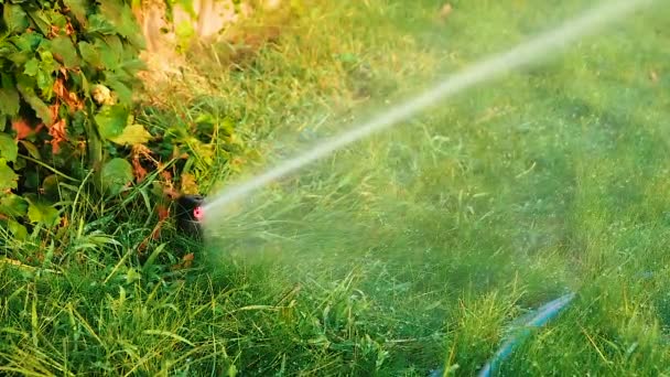 MOTION SLOW : Irrigateur arrosant l'herbe sur une pelouse d'une ferme de village . — Video