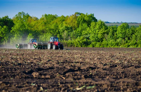 Два трактори посіяти сільськогосподарських полів з насіння пшениці. — стокове фото
