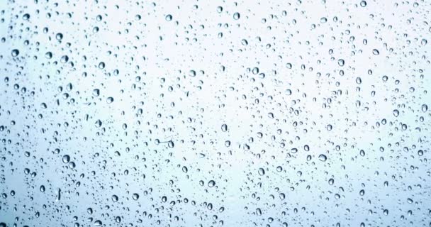 Dolly närbild av en droppe regn på en fönsterruta. 4k. — Stockvideo