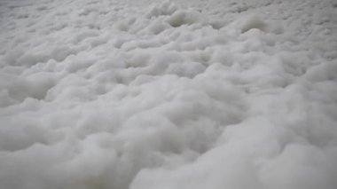 Ekoloji, deniz kıyısında beyaz bir köpük denizi kumsaldan uçup gider..