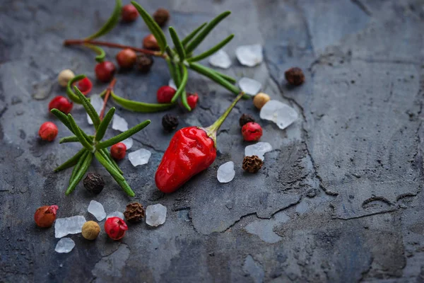 Kırmızı sıcak biber biber, biberiye ve tuz — Stok fotoğraf