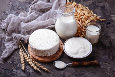 Tzfat peynir, süt ve buğday taneleri. Sembolleri Musevi tatil S