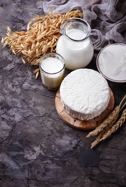 Молочные продукты молоко, творог, сметана и пшеница — стоковое фото