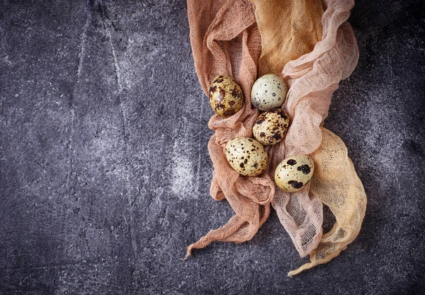 Uova di quaglia su sfondo concreto — Foto Stock