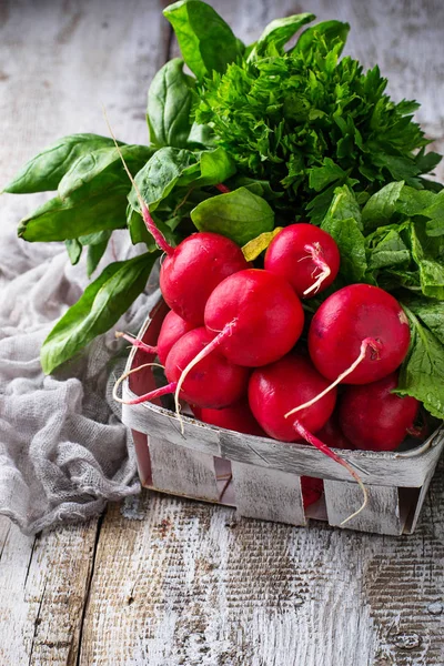 Ravanelli freschi, spinaci e prezzemolo — Foto Stock