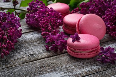 Pembe macaroons ve leylak. 