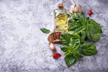 Taze yeşil fesleğen zeytinyağı ve sarımsak ile