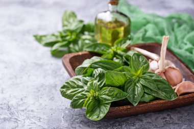 Taze yeşil fesleğen zeytinyağı ve sarımsak ile