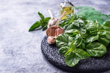 Taze yeşil fesleğen zeytinyağı ve sarımsak ile