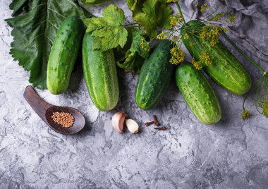salatalık turşusu yemek pişirmek için malzemeler