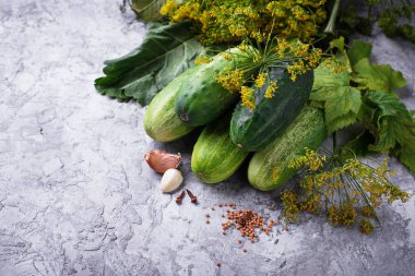 salatalık turşusu yemek pişirmek için malzemeler