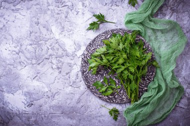 Gri beton zemin üzerine taze maydanoz