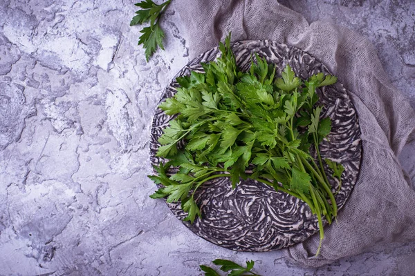 Salsa fresca sobre fundo de concreto cinza — Fotografia de Stock