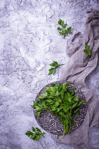 Gri beton zemin üzerine taze maydanoz