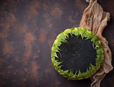 Ayçiçeği tohumları ile