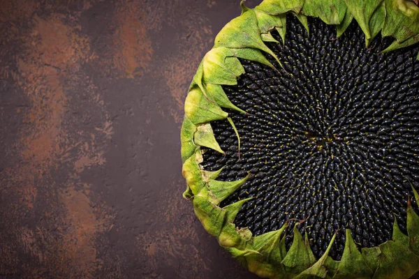 Ayçiçeği tohumları ile