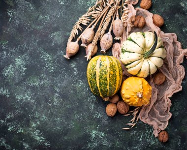 Kabaklar ve fındık ile sonbahar arka plan. 