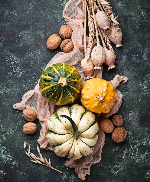 Calabazas y frutos secos . — Foto de Stock