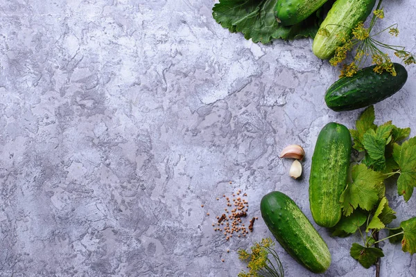 salatalık turşusu yemek pişirmek için malzemeler
