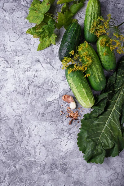 salatalık turşusu yemek pişirmek için malzemeler
