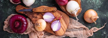 Soğan yeşil zemin üzerine çeşitli türü.