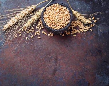 Buğday taneleri ve paslı arka plan üzerinde spikelets