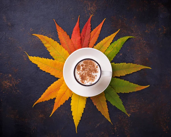 Őszi háttérrel, levelek és a csésze kávé. — Stock Fotó