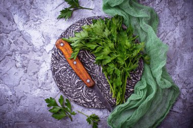 Gri beton zemin üzerine taze maydanoz