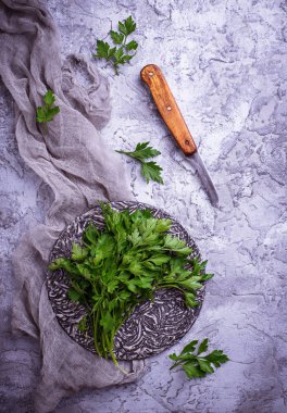 Gri beton zemin üzerine taze maydanoz