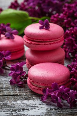 Pembe macaroons ve leylak.