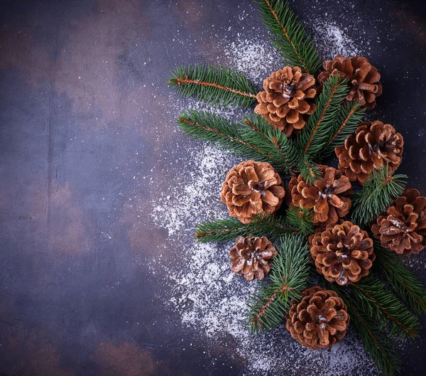 Pine cones and fir branches. — Stock Photo, Image