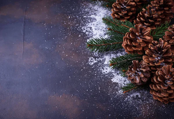 Pine cones and fir branches. — Stock Photo, Image