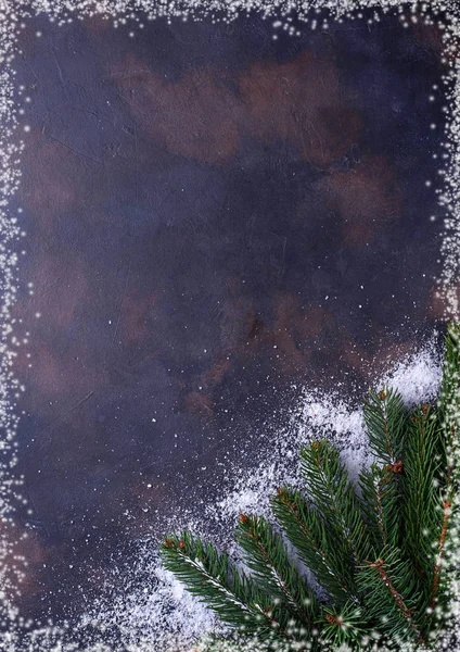 雪の結晶のモミの木の枝. — ストック写真